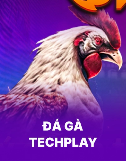 Đá gà